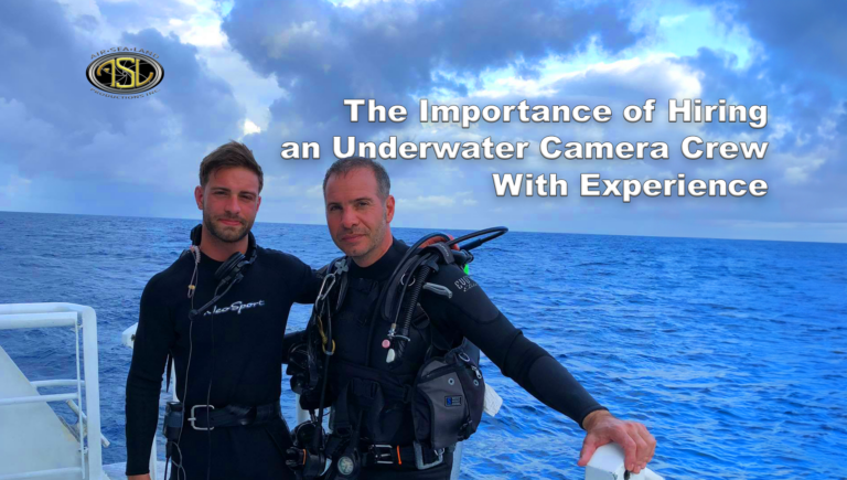 The Importance of Hiring an Underwater Camera Crew With Experience
